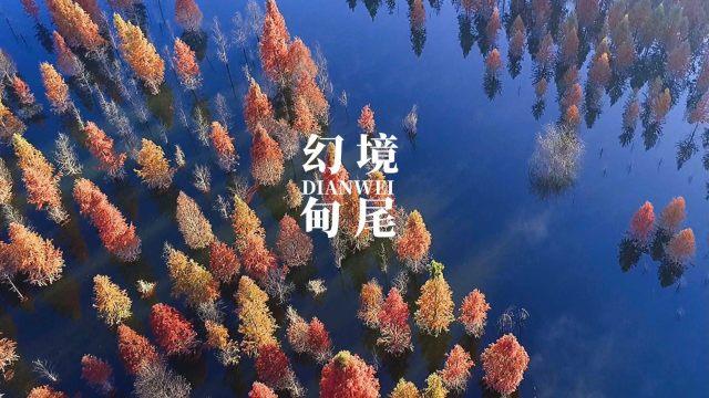 和田玉中常见的几种低端玉种分别是哪些?涨知识!